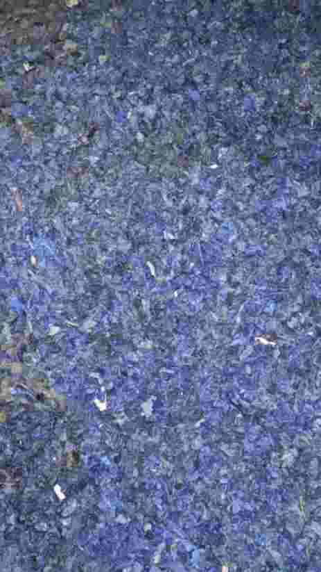 50 LITRE BLUE JERRY CAN HDPE Grinding Blow morbi gujarat india Plastic4trade