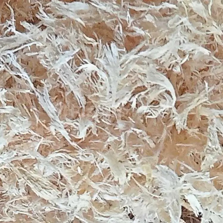 ABC Plastic Waste Resin Blow assam india Plastic4trade