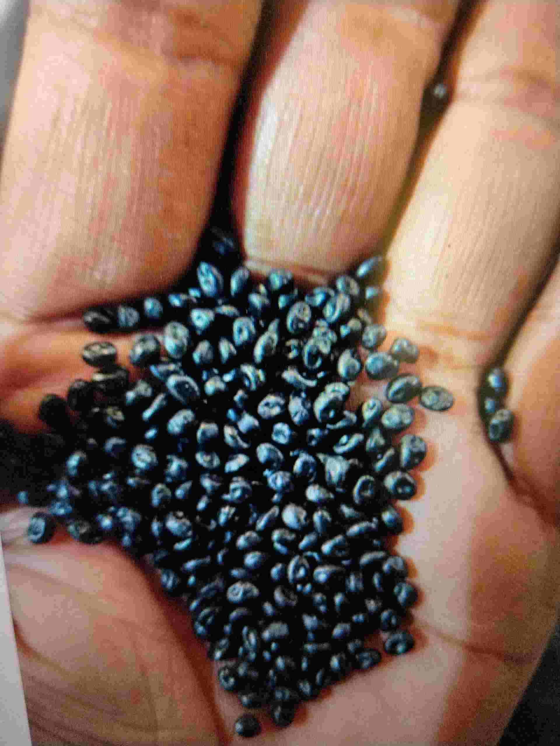 ABS ABS Prime/Virgin Injection Molding vadodara gujarat india Plastic4trade