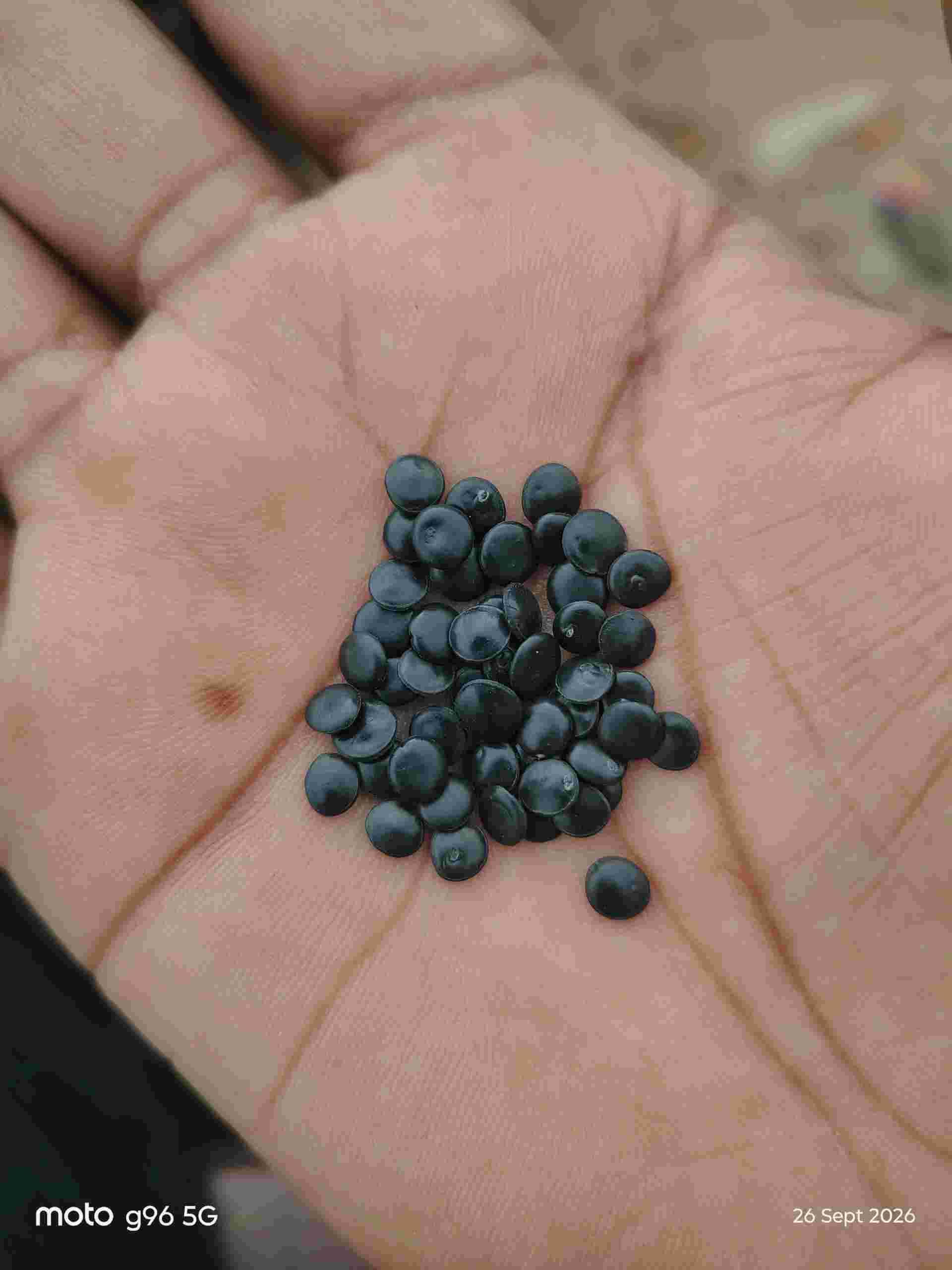 BLACK  LDPE GRANULES LDPE Reprocess Granule Pipe agra uttar pradesh india Plastic4trade