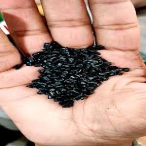 BLACK PP DANA PP Reprocess Granule Injection Molding malegaon maharashtra india Plastic4trade