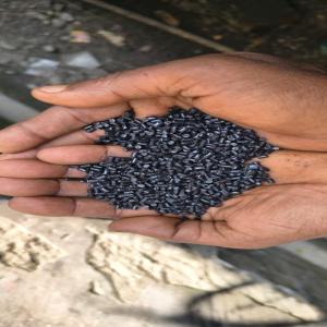 BLACK REPROCESSED LD GRANULE LDPE Reprocess Granule Film Grade kalyani west bengal india Plastic4trade