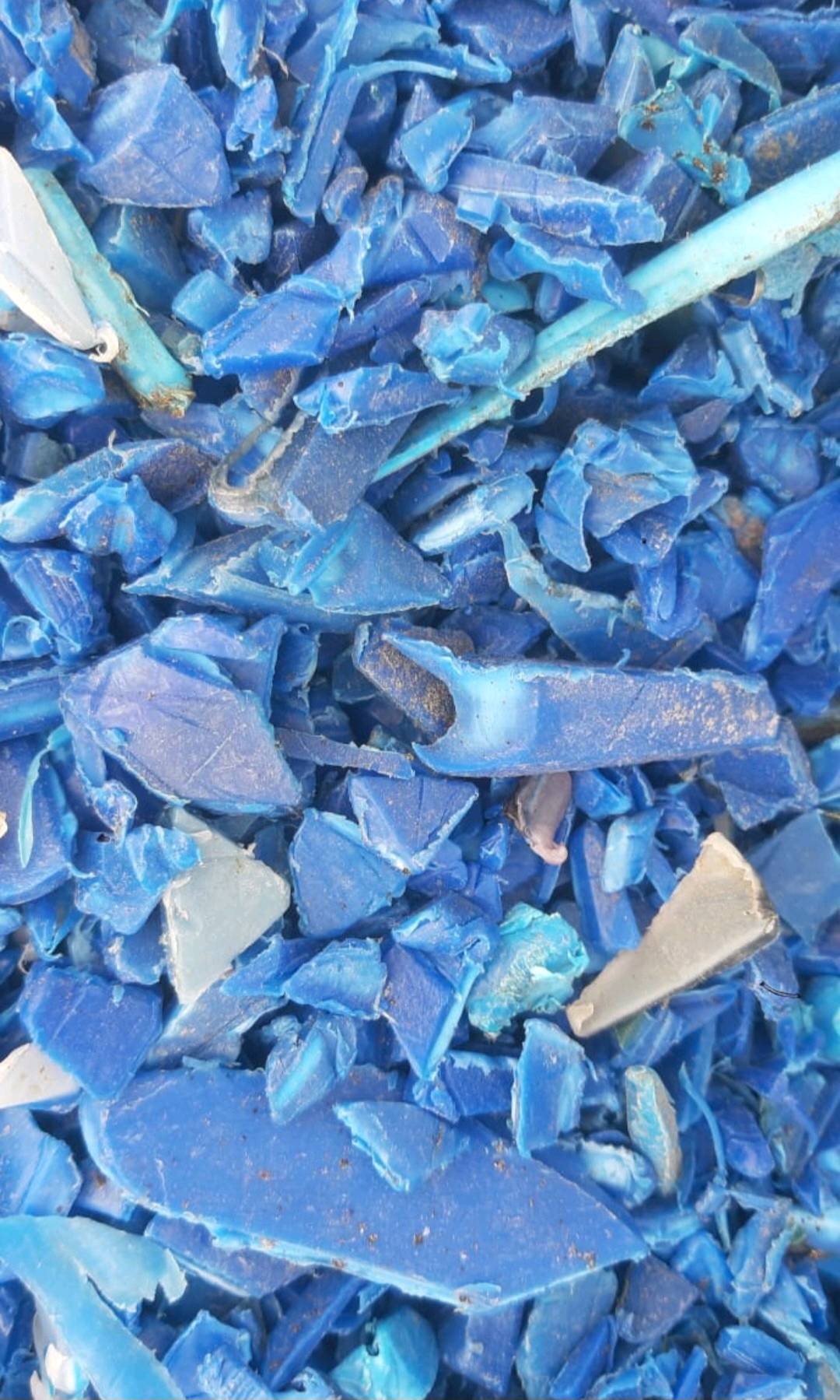 BLUE DRUM GRINDING HDPE Grinding Blow sharjah sharjah united arab emirates Plastic4trade Plastic4trade