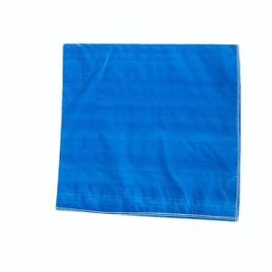BLUE PP LAMINATED BAG PP Bag Film Grade vapi gujarat india Plastic4trade Plastic4trade