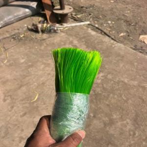 BROOMS ZIG ZAG YARN, PP Finish Goods Extrusion bhavnagar gujarat india Plastic4trade Plastic4trade