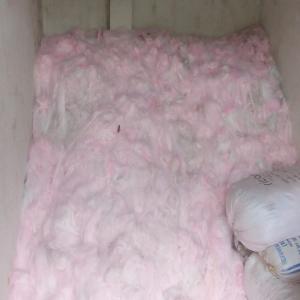 COLOR POLIESTER YAR POLYESTER Scrap Film Grade surat gujarat india Plastic4trade