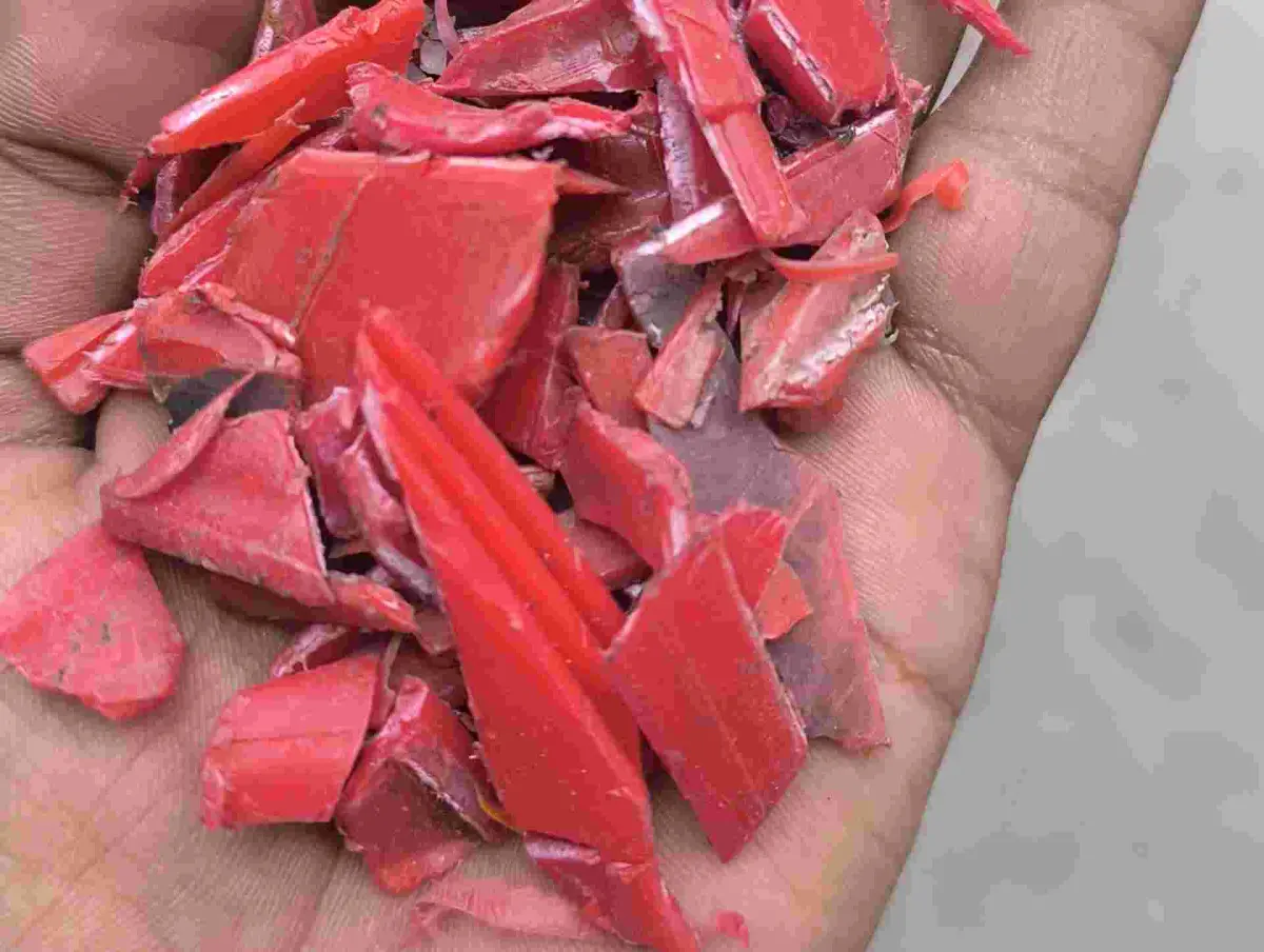 CRATE HD MOULDING GRINDING HDPE Grinding Injection Molding surat gujarat india Plastic4trade