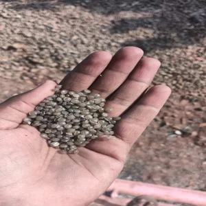 DALL NATERAL LDPE GRANULS LDPE Reprocess Granule Film Grade chikodi karnataka india Plastic4trade