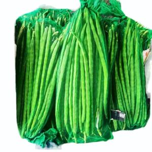 DRUMSTICKS GREEN NET BAG PP Bag Film Grade rajkot gujarat india Plastic4trade Plastic4trade