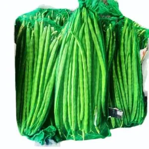 DRUMSTICKS GREEN NET BAG PP Bag Film Grade rajkot gujarat india Plastic4trade