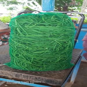 DRUMSTICKS GREEN NET BAG PP Bag Film Grade rajkot gujarat india Plastic4trade Plastic4trade