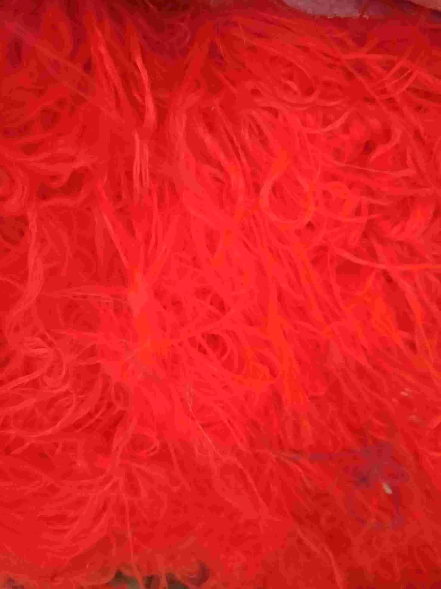 FDY PP FRESH YARN WASTE AND PP BCF YARN WASTE PP Prime/Virgin Monofilament bhiwani haryana india Plastic4trade