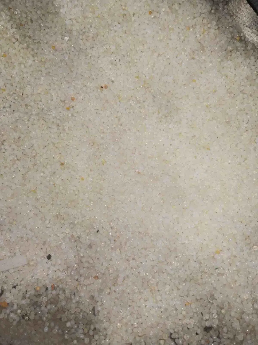 FLOOR SWEEP Plastic Waste Mix Material Mix Scrap kandla gujarat india Plastic4trade
