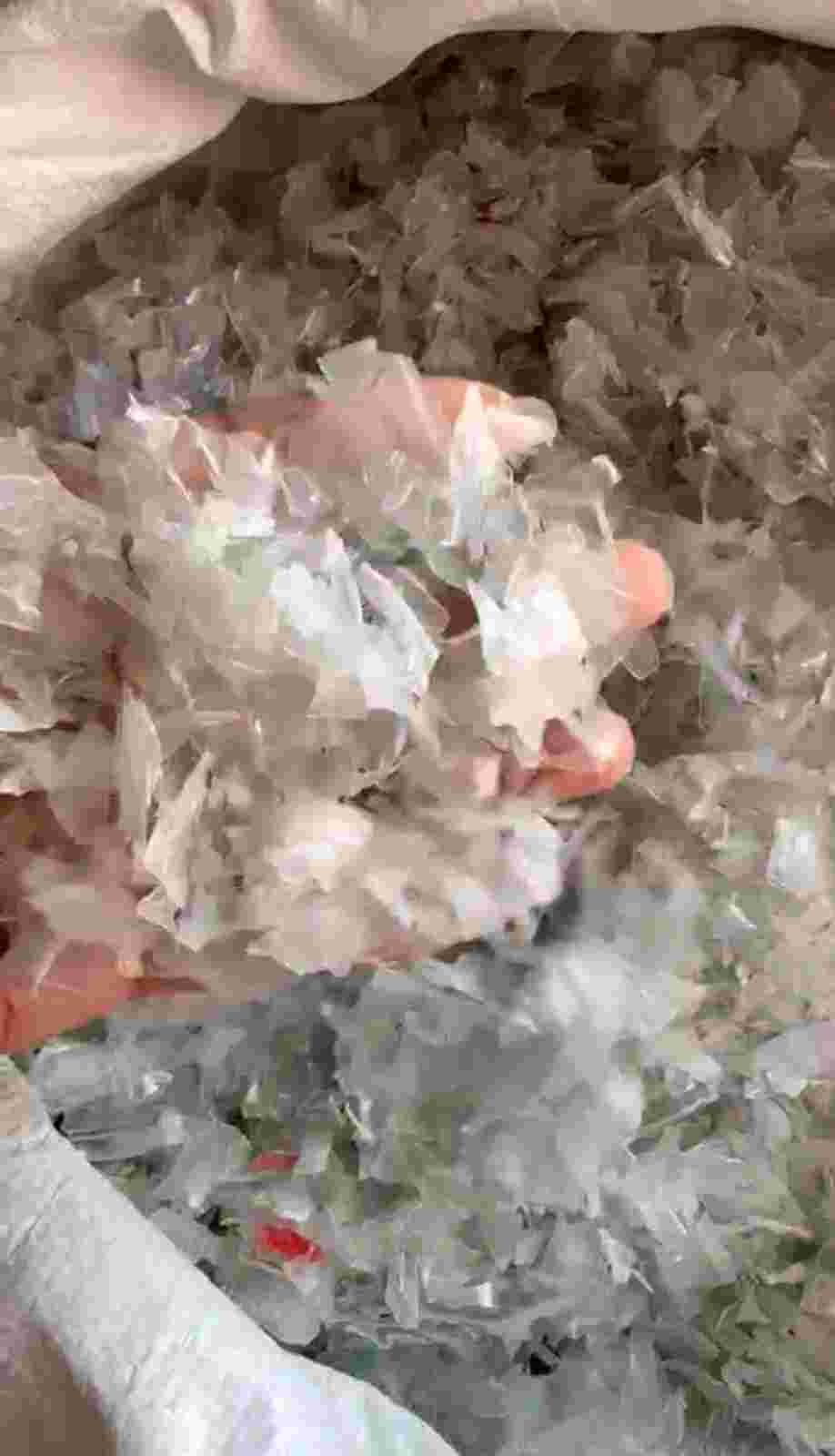 FOOD GRADE PET SCRAPE PET Flakes Mix Scrap wankaner gujarat india Plastic4trade