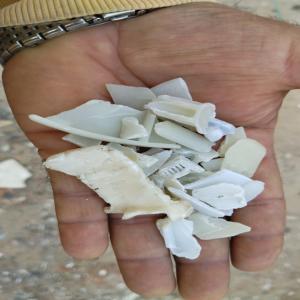 GLASS PP GRINDING PP Grinding Injection Molding undefined delhi india Plastic4trade