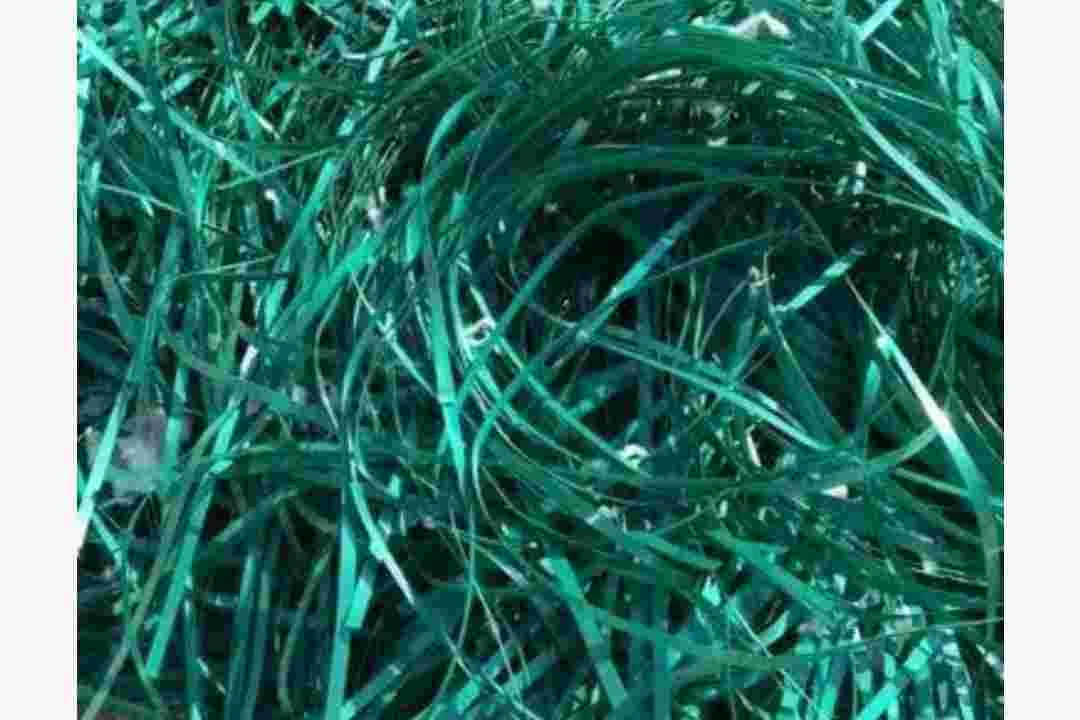 GREEN BALED PET BOTTLE SCRAP PET Grinding Mix Scrap morbi gujarat india Plastic4trade