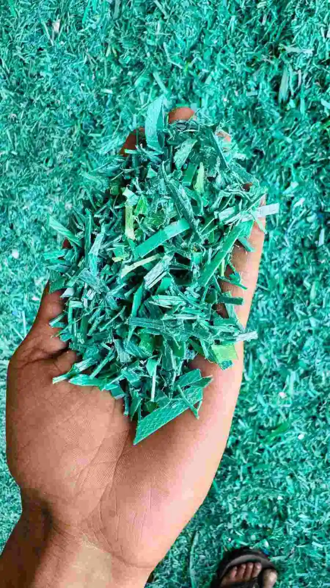 GREEN PATTI PET Grinding Finish Goods Injection Molding pune maharashtra india Plastic4trade