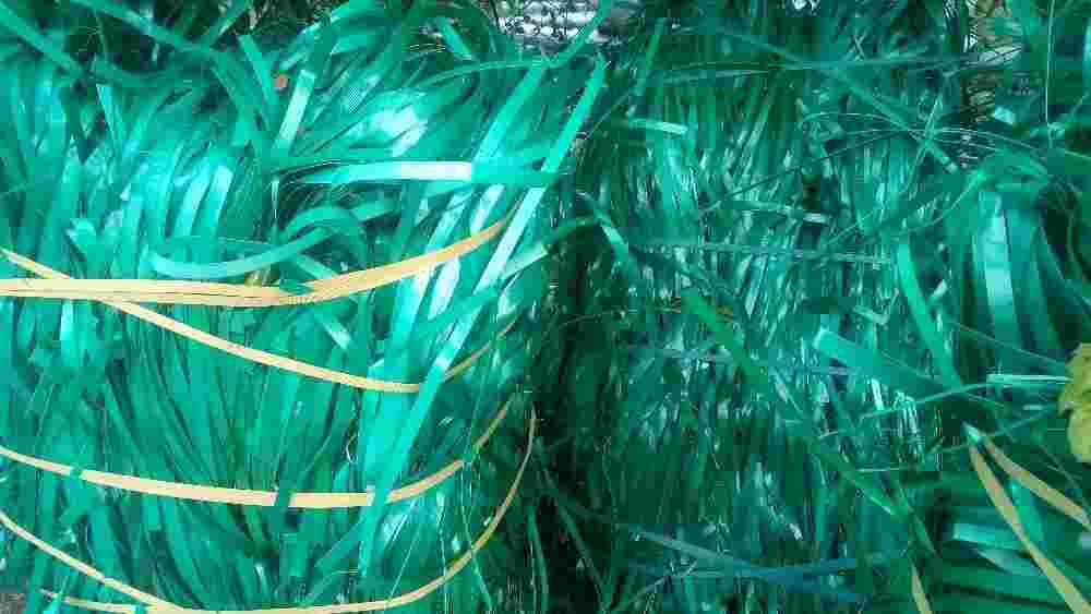 GREEN PATTI PET Scrap Film Grade alwar rajasthan india Plastic4trade