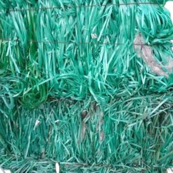 GREEN PATTI PET Scrap Film Grade bonthapalle telangana india Plastic4trade