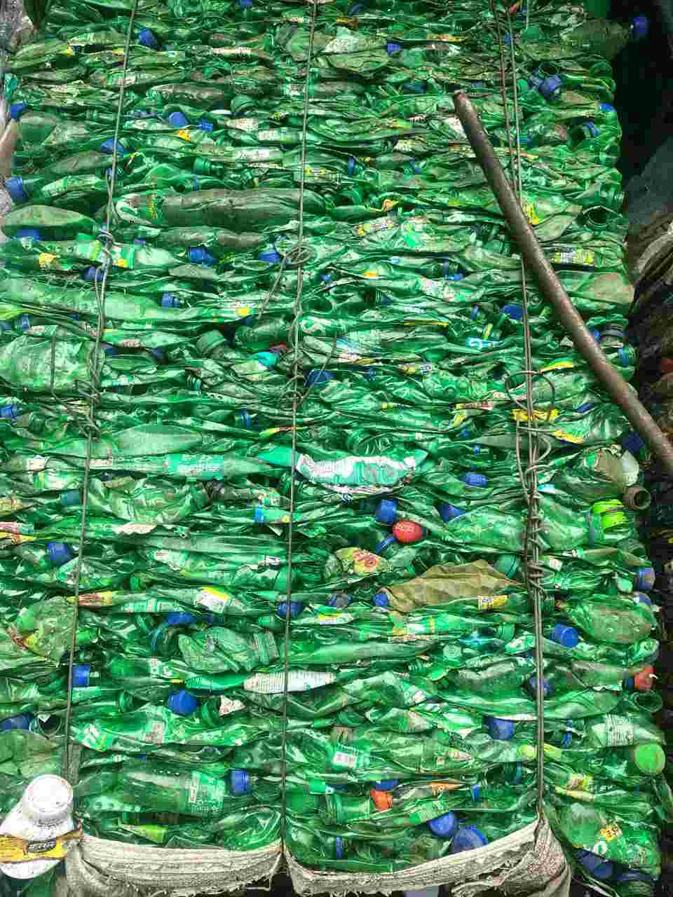 GREEN PET BOTTLE BALAS  Baled Monofilament morbi gujarat india Plastic4trade