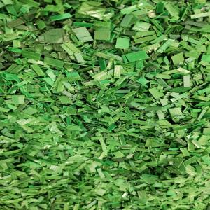 GREEN PET PATTI GRINDING PET Grinding Blow morbi gujarat india Plastic4trade Plastic4trade