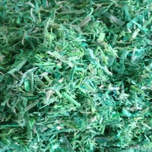 GREEN PET PATTI GRINDING PET Grinding Film Grade indore madhya pradesh india Plastic4trade Plastic4trade