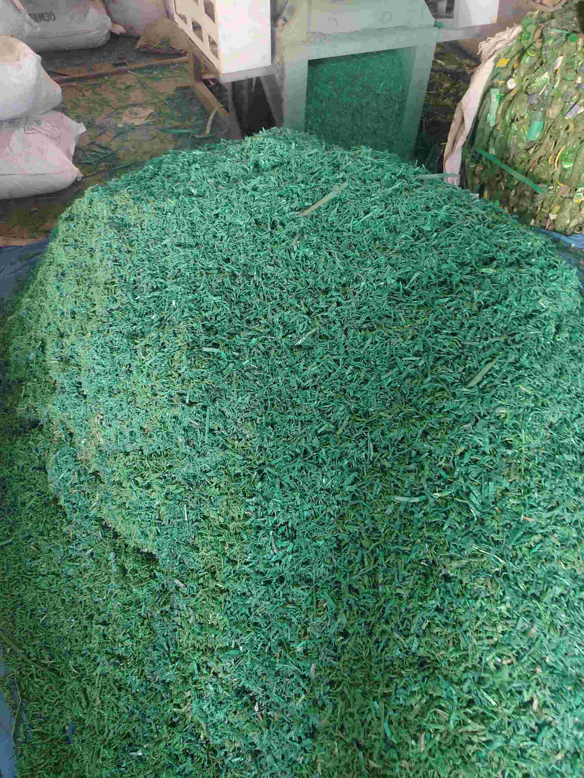 GREEN PET PATTI GRINDING PET Grinding Mix Scrap pipli gujarat india Plastic4trade