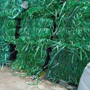 GREEN PET PATTI PET Scrap Extrusion Film Grade vapi gujarat india Plastic4trade