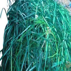 GREEN PET PATTI PET Scrap Film Grade morbi gujarat india Plastic4trade Plastic4trade