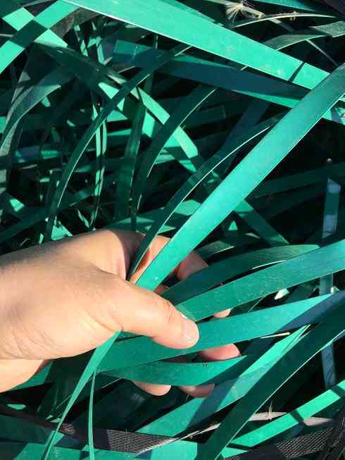 GREEN PET PATTI  SCRAP PET Scrap Baled Mix Scrap indore madhya pradesh india Plastic4trade