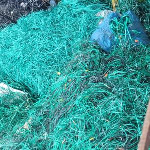 GREEN PET PATTI  SCRAP PET Scrap Film Grade chennai tamil nadu india Plastic4trade