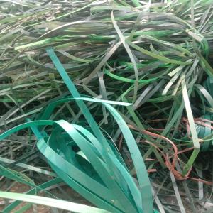 GREEN PET PATTI SCRAP PET Scrap Film Grade ghaziabad uttar pradesh india Plastic4trade