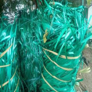 GREEN PET PATTI SCRAP PET Scrap Film Grade navi mumbai maharashtra india Plastic4trade