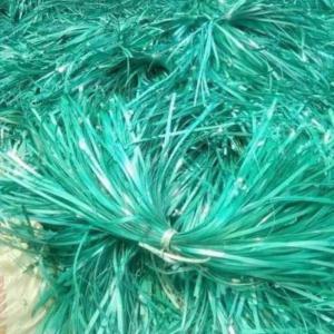 GREEN PET PATTI  SCRAP PET Scrap Film Grade surat gujarat india Plastic4trade