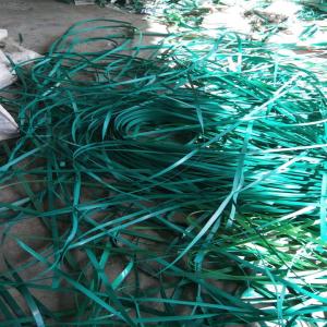 GREEN PET PATTI  SCRAP PET Scrap Film Grade wada maharashtra india Plastic4trade