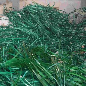 GREEN PET PATTI  SCRAP PET Scrap Film Grade wankaner gujarat india Plastic4trade