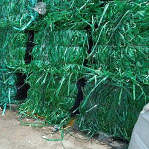 GREEN PET PATTI  SCRAP PET Scrap Film Grade wankaner gujarat india Plastic4trade