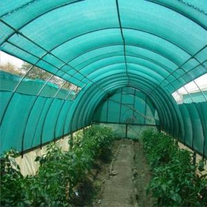 GREEN PP SHADE NET PP Finish Goods Film Grade surat gujarat india Plastic4trade