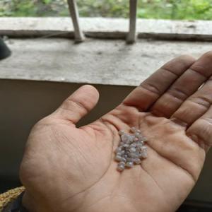 GREY LDPE GRANULS LDPE Reprocess Granule Film Grade ratlam madhya pradesh india Plastic4trade Plastic4trade