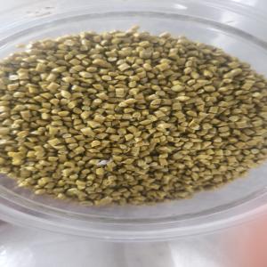 HD RECYCLE GRANULES HDPE Reprocess Granule Blow Injection Molding shivpuri madhya pradesh india Plastic4trade