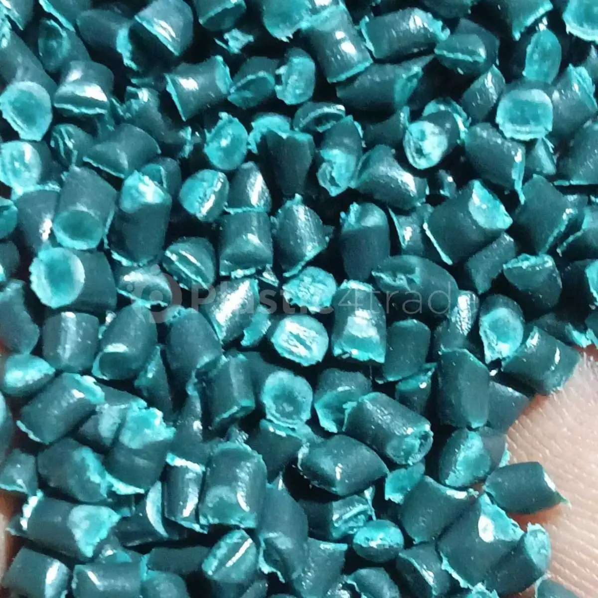 ALL PLASTIC HDPE Reprocess Granule RAFFIA gujarat india Plastic4trade