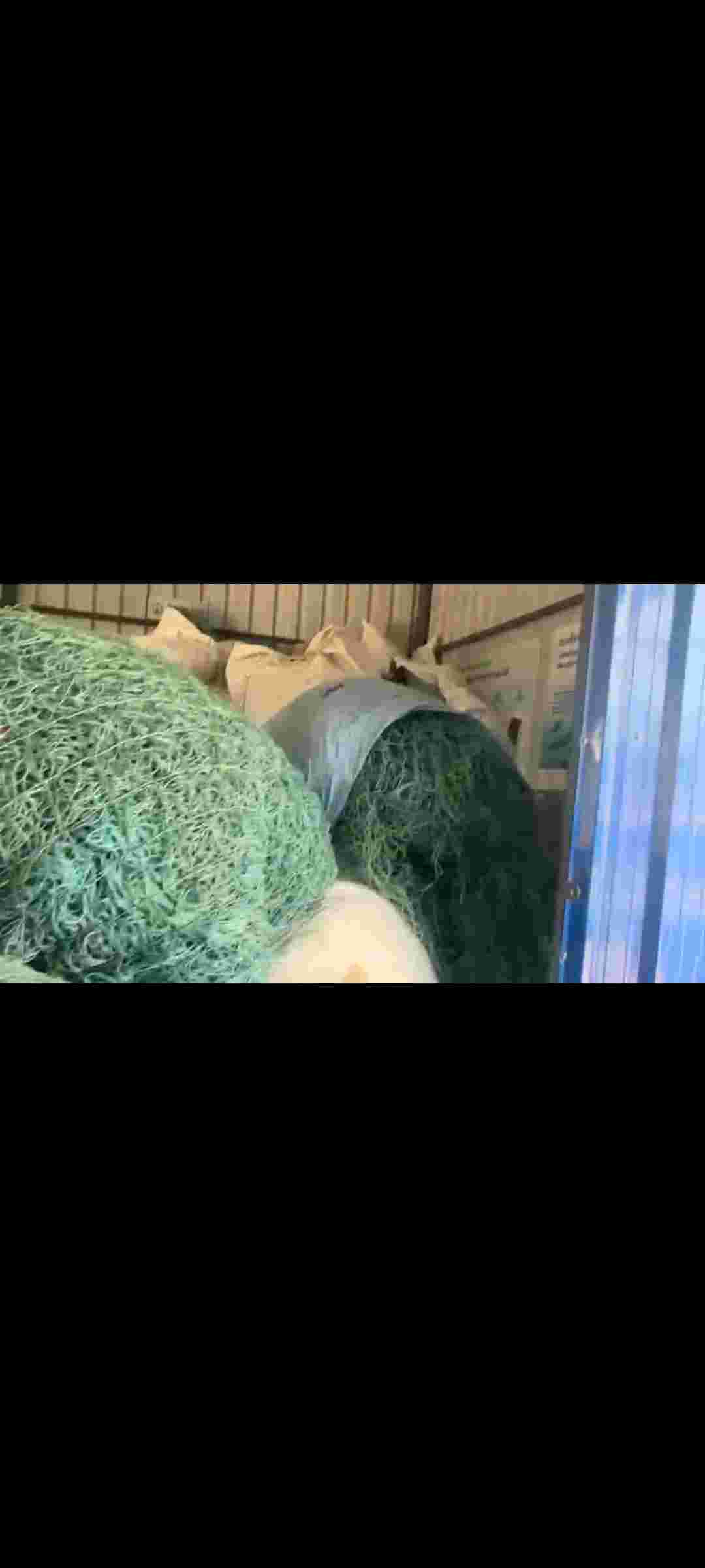 HD SCRAP HDPE Scrap Mix Scrap kolhapur maharashtra india Plastic4trade Plastic4trade