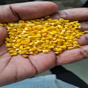 HD YELLOW HDPE Reprocess Granule Blow Injection Molding mehsana gujarat india Plastic4trade