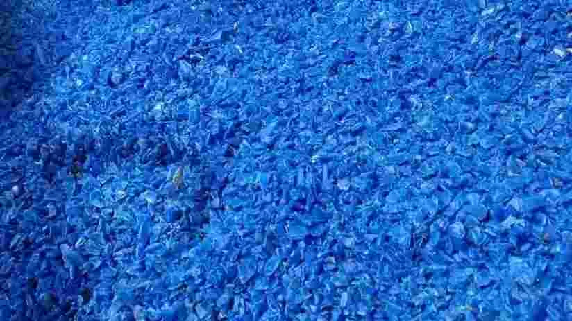 HDPE 35 L CAN HDPE Grinding Blow mumbai maharashtra india Plastic4trade