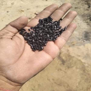 HDPE BLACK REPROCESSED GRANULES HDPE Reprocess Granule Blow bathinda punjab india Plastic4trade