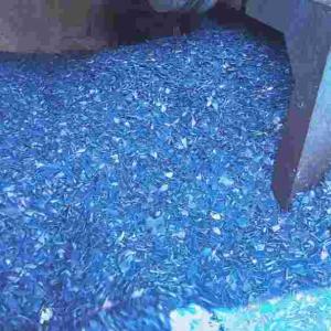 HDPE BLUE  DRUM GRINDING HDPE Grinding Blow sitarganj uttarakhand india Plastic4trade