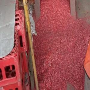 HDPE CARATE RED GRINDING HDPE Grinding Injection Molding delhi delhi india Plastic4trade