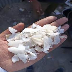 HDPE GRANDING HDPE Grinding Blow undefined gujarat india Plastic4trade