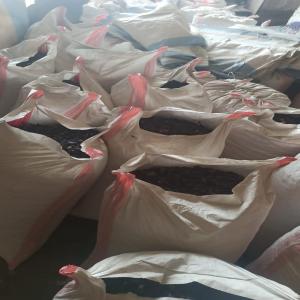 HDPE GRANDING HDPE Grinding Injection Molding rajkot gujarat india Plastic4trade