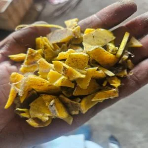 HDPE  GRANDING HDPE Grinding Roto Molding Injection Molding faridabad haryana india Plastic4trade